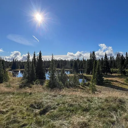 Stunning In With Sauna Sjusjoen