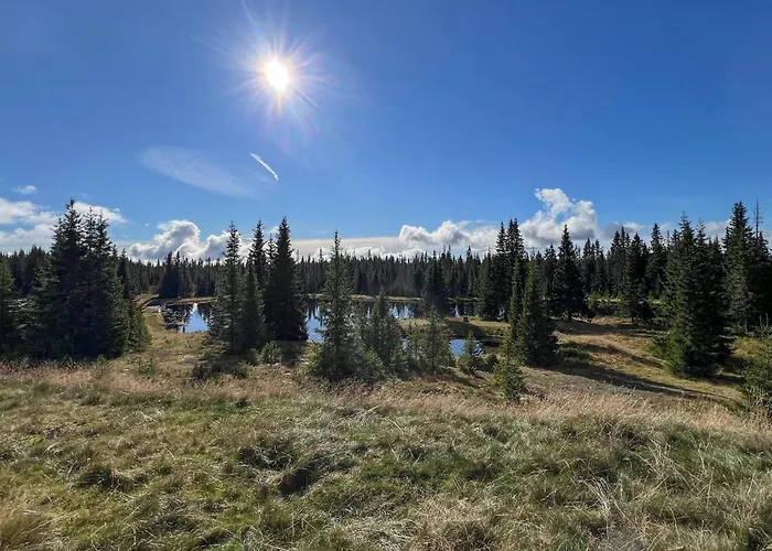 Stunning In With Sauna Sjusjoen